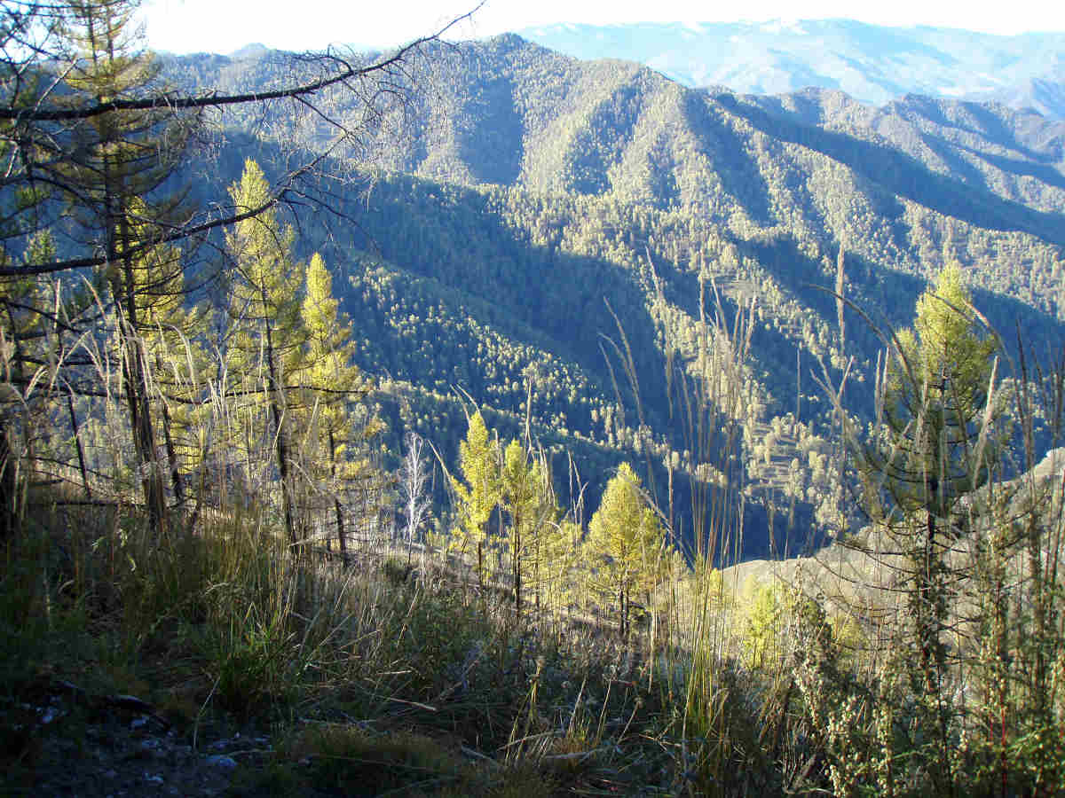 Wanderausflug in die Berge Asiens